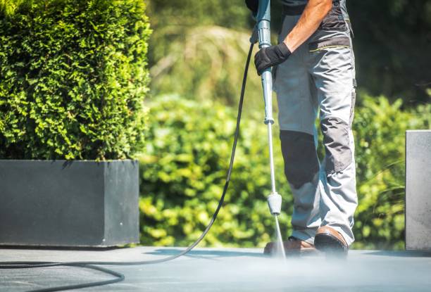 Animal Enclosure Cleaning in Rosenberg, TX