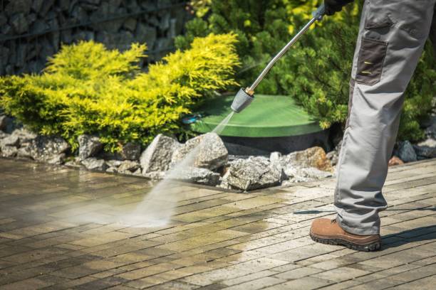 Best Animal Enclosure Cleaning  in Rosenberg, TX
