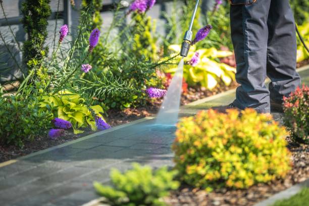 Best Fence Cleaning  in Rosenberg, TX