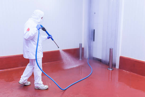 Best Pre-Holiday Cleaning  in Rosenberg, TX