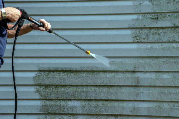 Best Building Exterior Washing  in Rosenberg, TX